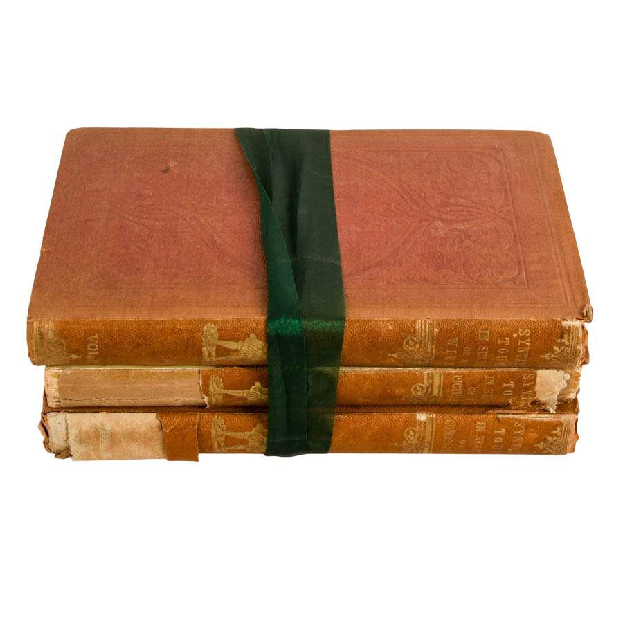 Antique 1855 Doctor Syntax Three Tours Complete 3-Volume Set-9