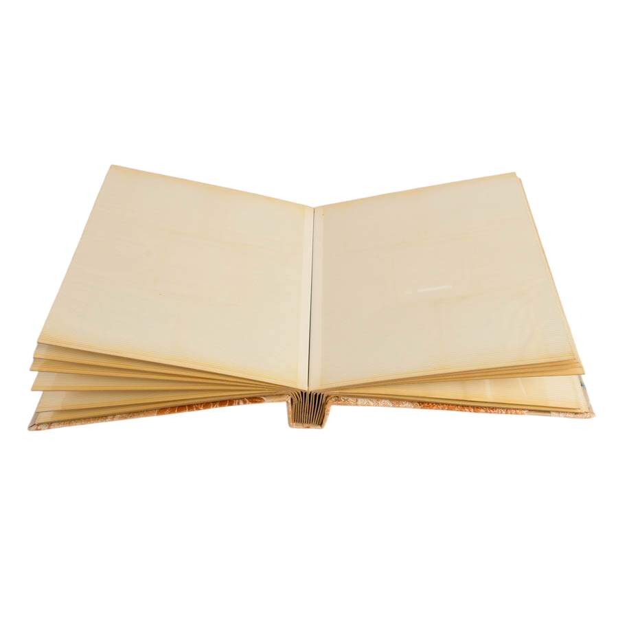 Three Chinese Fabric Photograph Albums-6
