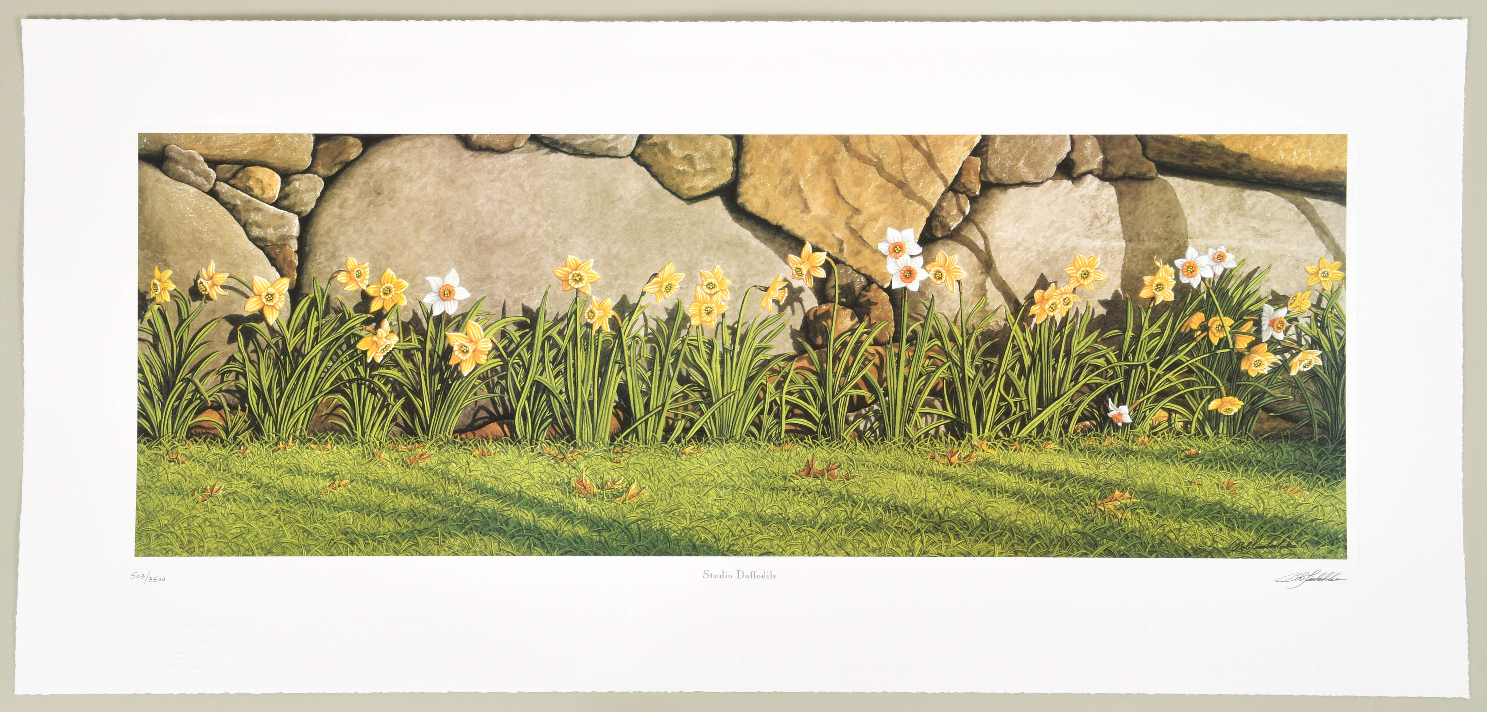 Bob Timberlake Prints Studio Daffodils - Boxed by Bob Timberlake-1