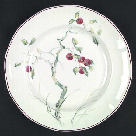 Persimmon by Adams China