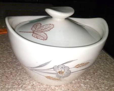 Elegance by American Fine China
