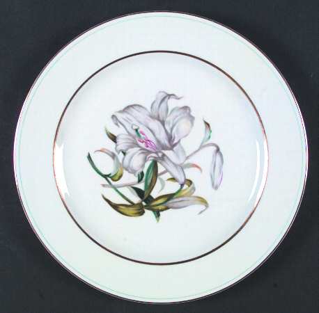 Donna Lily by Aladdin