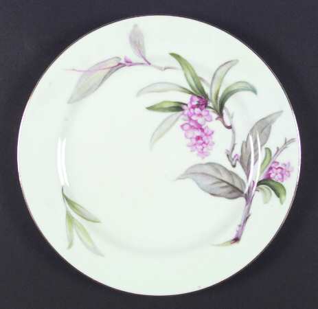 Larkspur by Aladdin