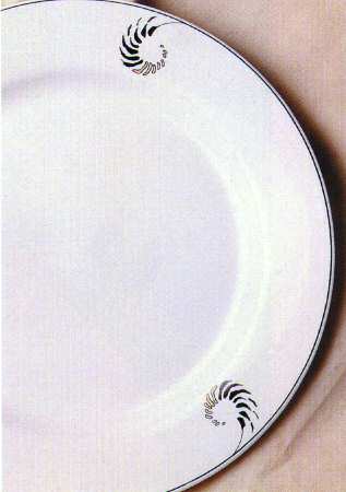 Nautilus by Australian Fine China