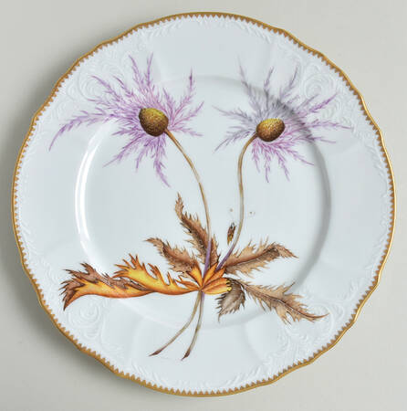 Thistle by Anna Weatherley
