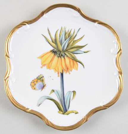 Botanical Studies by Anna Weatherley