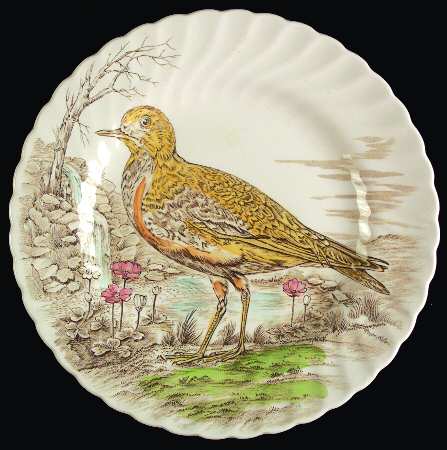 Wild Birds of Heath & Moorland by British Anchor