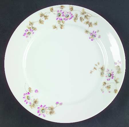 Schleiger 373A by Charles Field Haviland