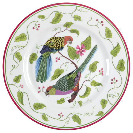 Parrots of Paradise by Lynn Chase