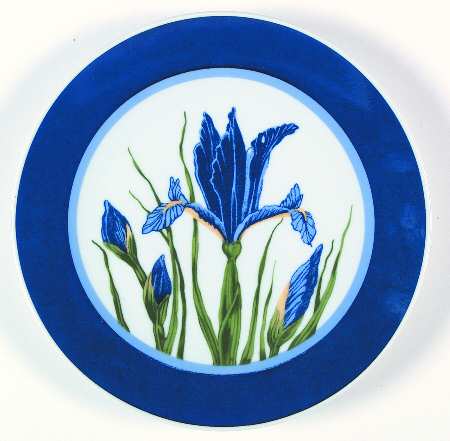 Dutch Iris by Curzon