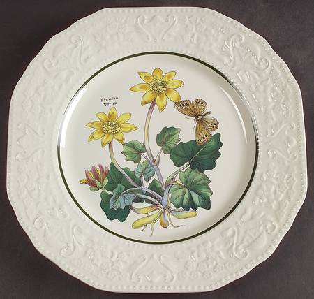 Florabunda (Embossed, Square) by Cuthbertson