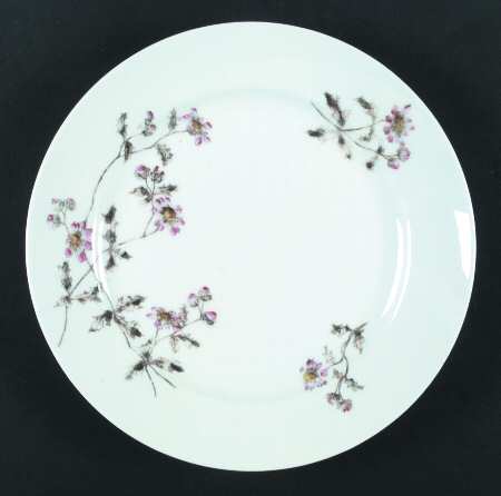 Schleiger 1311A by Charles Field Haviland