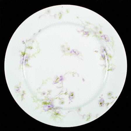 Schleiger 377-1 by Charles Field Haviland
