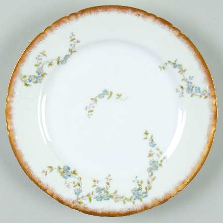 Schleiger 1299-8 by Charles Field Haviland