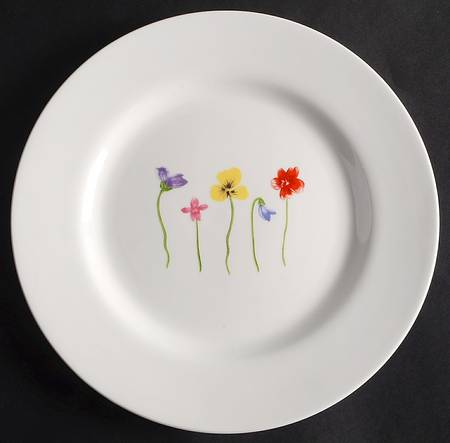 Simple Spring by Ciroa
