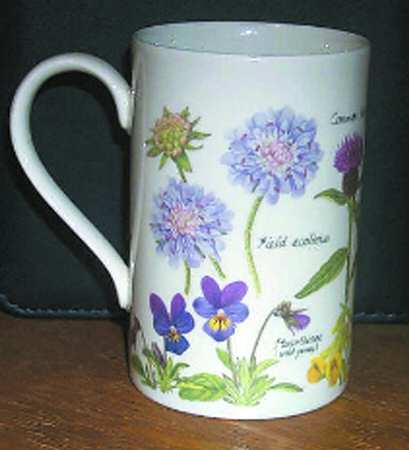 Scottish Wild Flowers by Dunoon