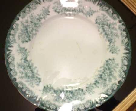 Daisy Green (Gold Accents) by Dudson, Wilcox & Till