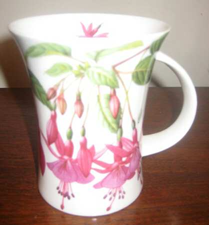 Fuchsias by Dunoon