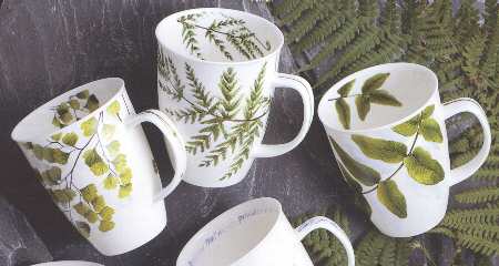 Ferns by Dunoon