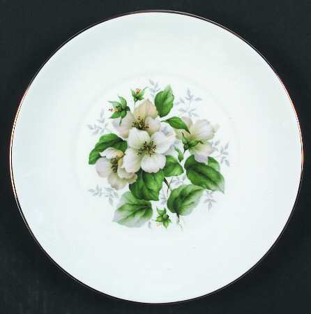 Dogwood (Smooth) by Elizabethan