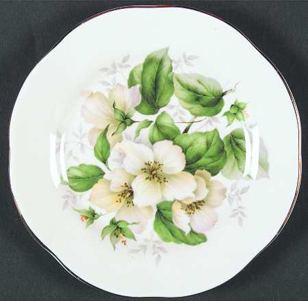 Dogwood by Elizabethan