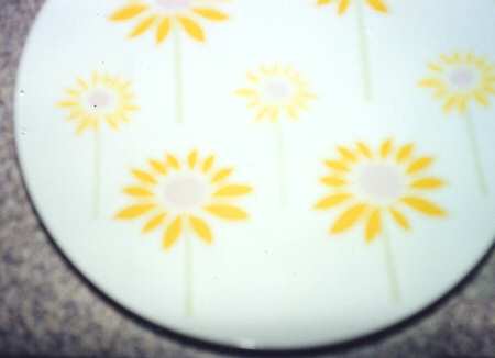 Dancing Daisies by Fashion Manor