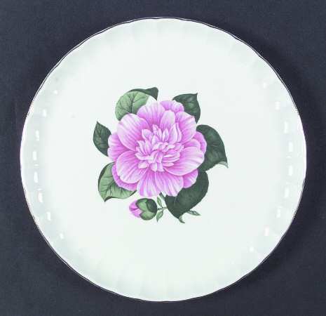 Camellia by WS George