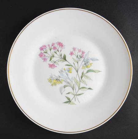 Primavera by Ginori 1735