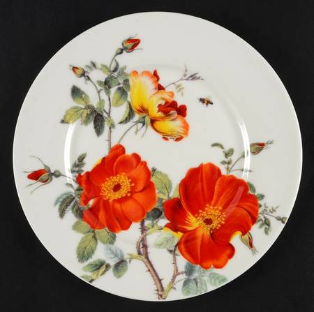 Rose and Poppy by Gracie Bone China