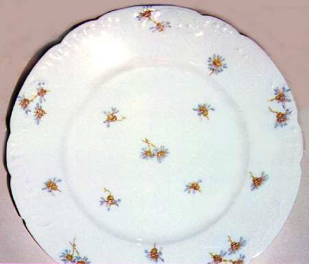 Schleiger 316-2 by Haviland
