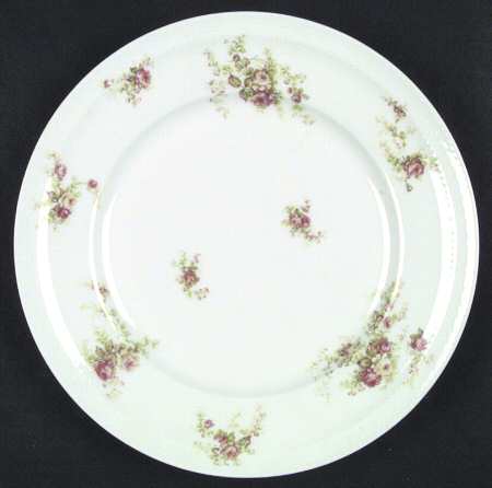 Schleiger 456-1 by Haviland