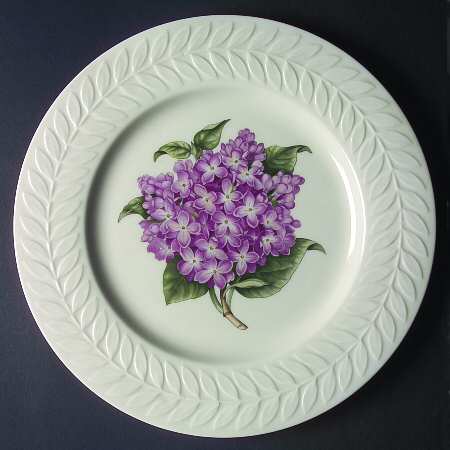 Regents Park Lilac by Haviland