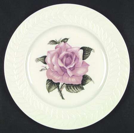 Regents Park Rose by Haviland
