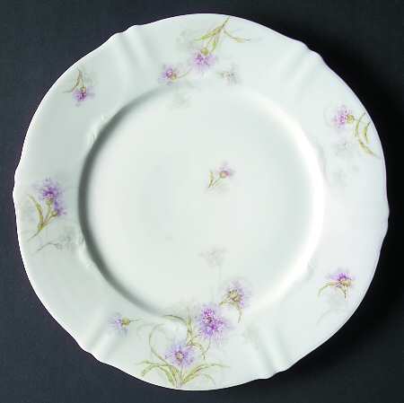 Schleiger 1035 by Haviland