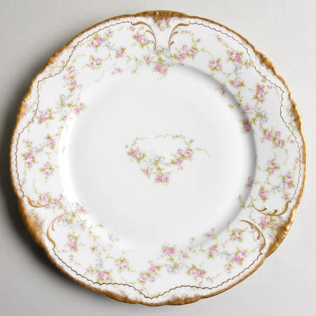 Schleiger 161 by Haviland