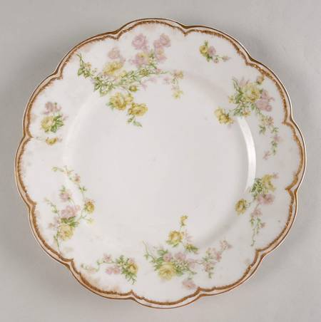 Schleiger 261G by Haviland