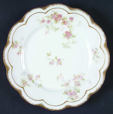 Schleiger 42G by Haviland