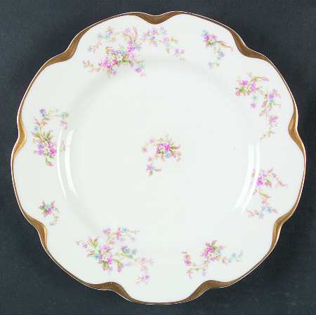 Schleiger 434c by Haviland