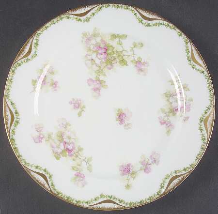 Schleiger 66 by Haviland
