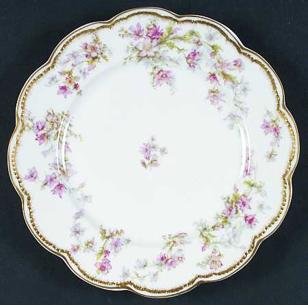 Schleiger 91A by Haviland
