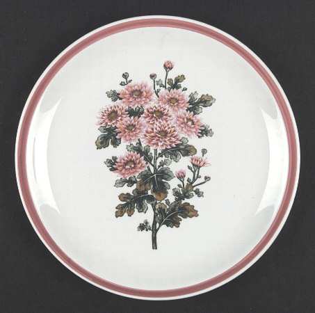 Pink Asters by Harmony House China