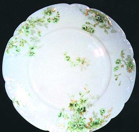 Schleiger 311b by Haviland