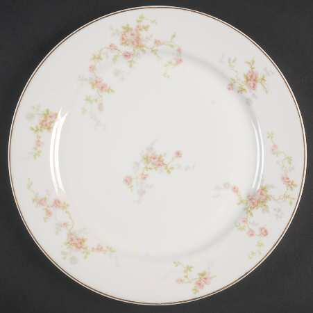 Schleiger 1245-1 by Haviland