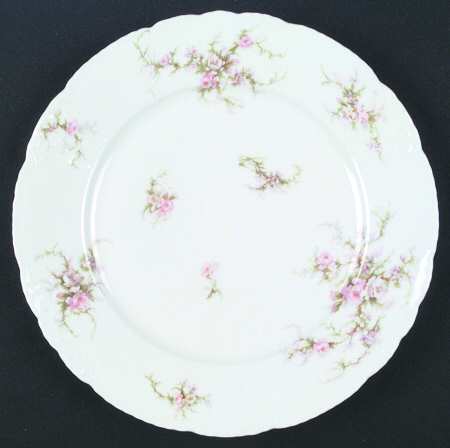 Schleiger 154c by Haviland