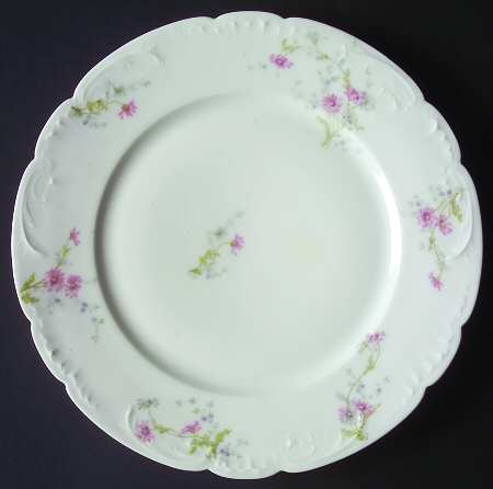 Schleiger 1034 by Haviland