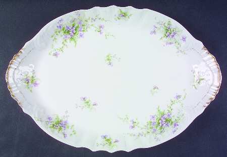 Schleiger 609d by Haviland