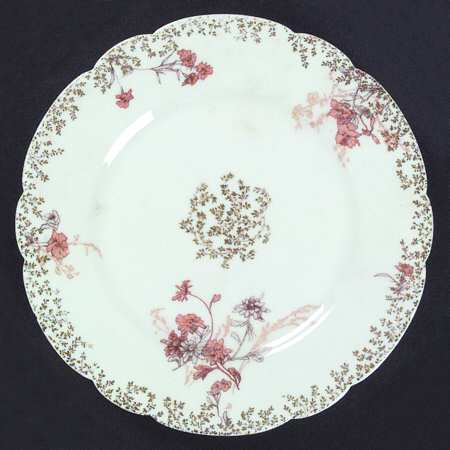 Schleiger 678-1 by Haviland