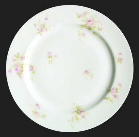 Schleiger 49f by Haviland
