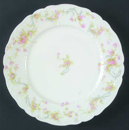 Schleiger 57Y by Haviland