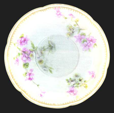 Schleiger 317-2 by Haviland